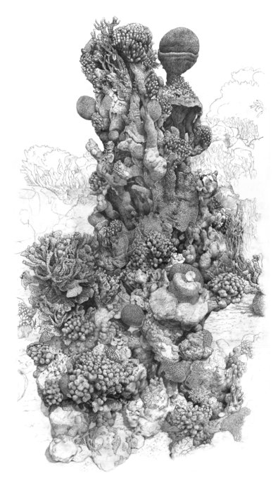 Underwater drawing of Skeleton tower, reef portrait