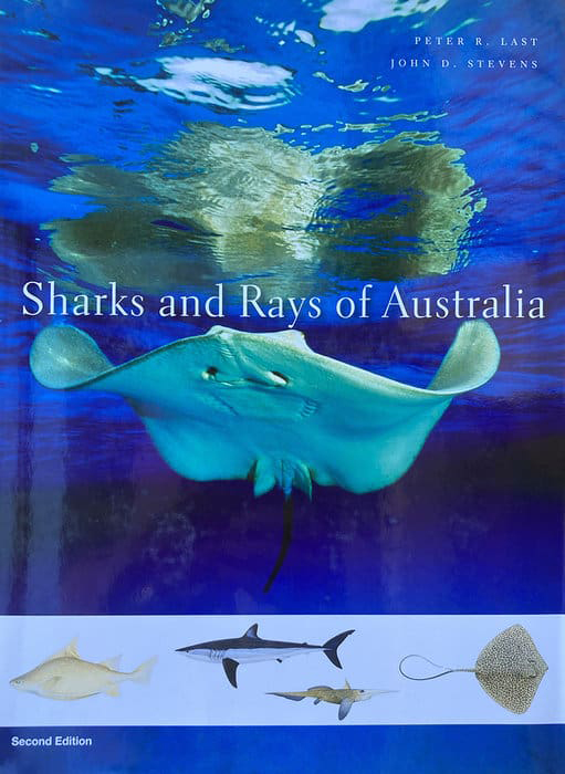 Sharks &Rays of Australia, second edition, illustration by Roger Swainston