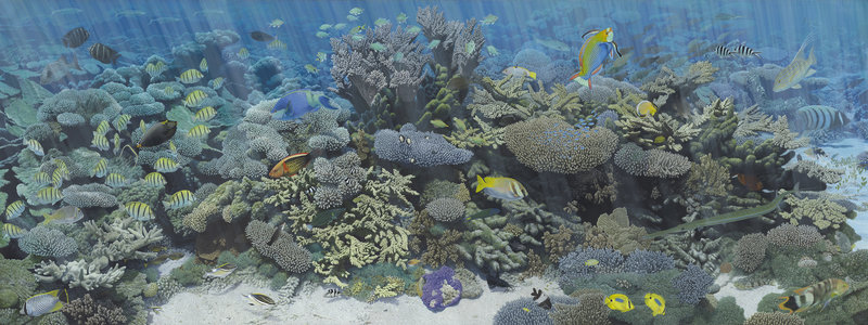 Stunning Fine Art print of the Underwater painting of Point Maud,on canvas,signed by Roger Swainston