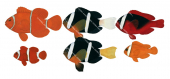 Anemonefish,male&female colours,Roger Swainston,Animafish
