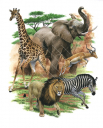 African collage-2,High quality Illustration by R. Swainston