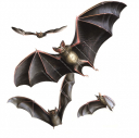 Vampire Bat,Desmodus rotundus,illustration by Roger Swainston,Anima.au