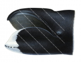 Bowhead Whale,Head detail,Balaena mysticetus,Scientific fish illustration by Roger Swainston