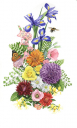 Garden Spring Flowers bouquet with butterfly and bee,illustration by R.Swainston