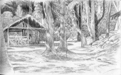 Black and white Sketch of a Camp,Penaoru village, Vanuatu,Roger Swainston,