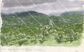 View along the track to Butmas,Vanuatu,Sketch by Roger Swainston