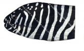 Head of the Zebra Moray,Gymnomuraena zebra,High quality illustration by Roger Swainston