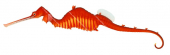Ruby Seadragon,Phyllopteryx dewysea|High Res Scientific illustration by Roger Swainston