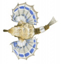 Little Dragonfish,Eurypegasus draconis,High quality illustration by Roger Swainston