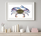 9238_Blue_Swimmer2_crab_and_shelf_with_items_1131363273.jpg